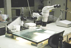 Stereo microscope